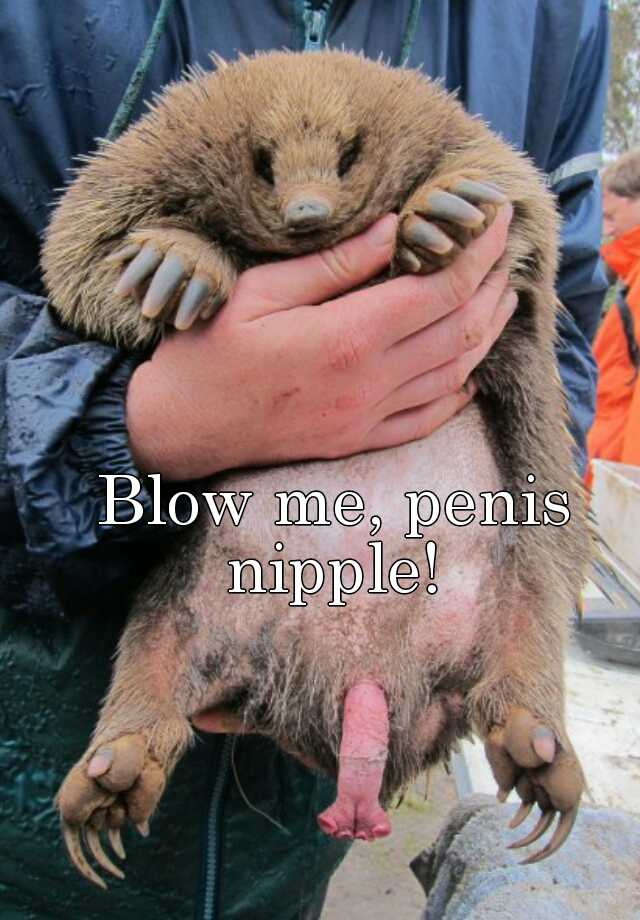 Nipple Penis